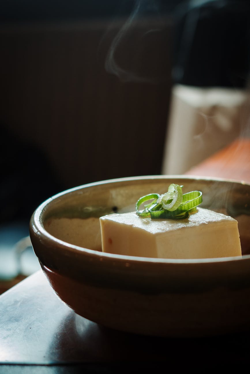 steaming tofu garnished with green onions in kyoto